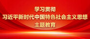 大鸡巴青青草视频学习贯彻习近平新时代中国特色社会主义思想主题教育_fororder_ad-371X160(2)